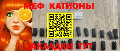 прущие грибы Гатчина