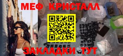 прущие грибы Гатчина