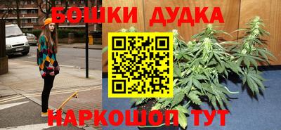 прущие грибы Гатчина