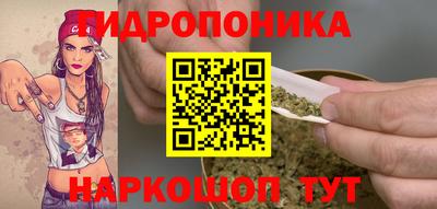 прущие грибы Гатчина
