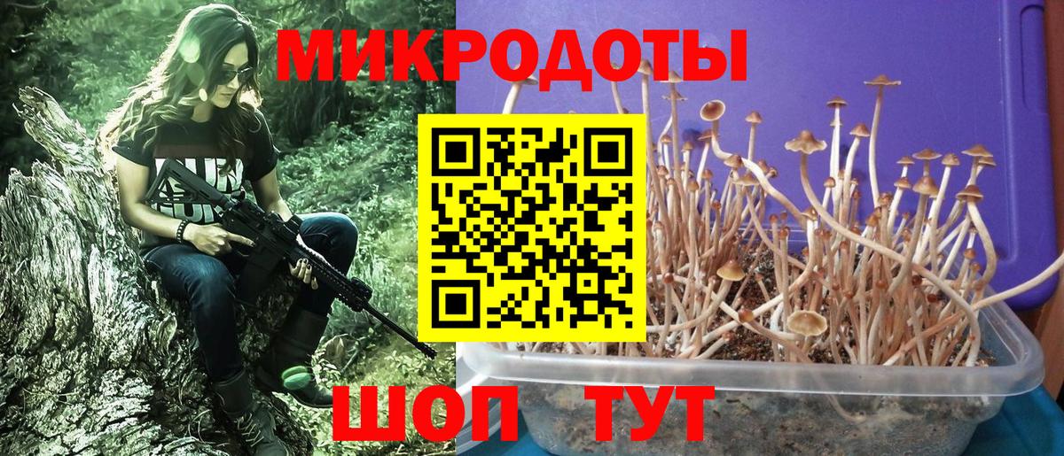 магазин продажи   Вход с VPN  Дюртюли  Псилоцибиновые грибы Psilocybe 